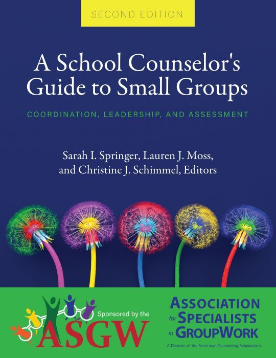 Cover of A School Counselor's Guide to Small Groups: Coordination, Leadership, and Assessment