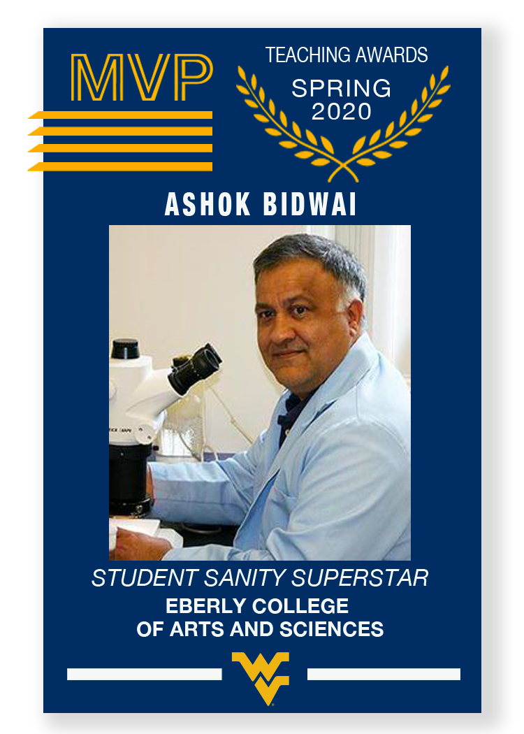 Ashok Bidwai