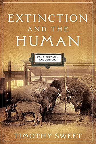 Cover of Extinction and the Human: Four American Encounters