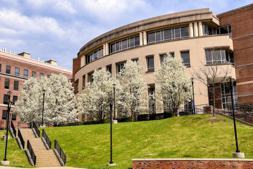 The image captures a bright spring day on a university campus with blooming trees and modern architecture.